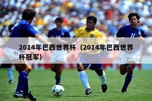 2014年巴西世界杯（2014年巴西世界杯冠军）