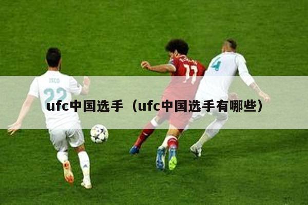 ufc中国选手（ufc中国选手有哪些）