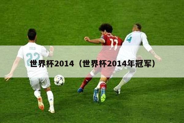 世界杯2014（世界杯2014年冠军）