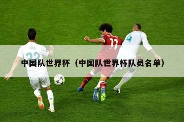 中国队世界杯（中国队世界杯队员名单）