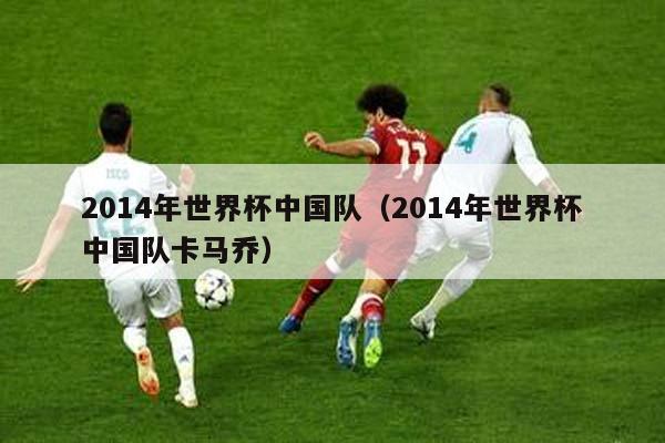 2014年世界杯中国队（2014年世界杯中国队卡马乔）