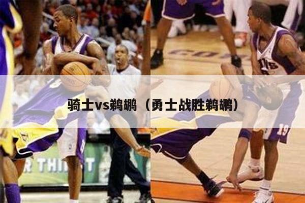 骑士vs鹈鹕（勇士战胜鹈鹕）