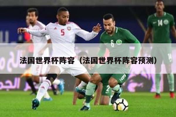 法国世界杯阵容（法国世界杯阵容预测）