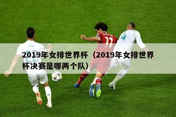 2019年女排世界杯（2019年女排世界杯决赛是哪两个队）