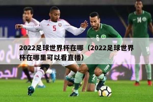 2022足球世界杯在哪（2022足球世界杯在哪里可以看直播）