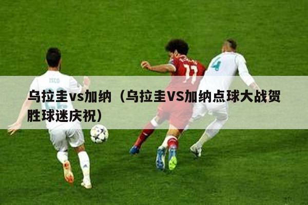 乌拉圭vs加纳（乌拉圭VS加纳点球大战贺胜球迷庆祝）