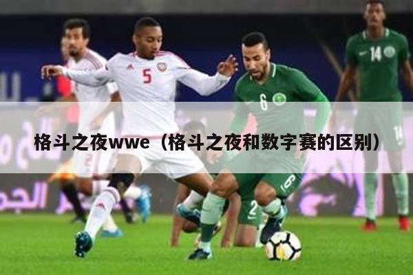 格斗之夜wwe（格斗之夜和数字赛的区别）